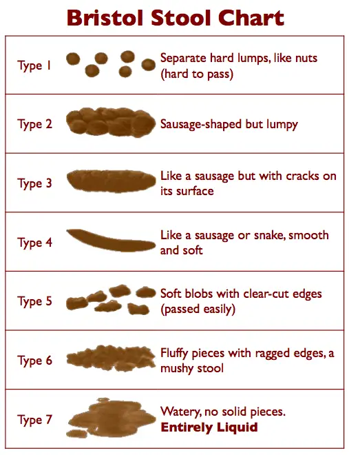 Learn whether your poop is normal with the Bristol Stool Chart ~ http://healthpositiveinfo.com/what-your-poop-says.html